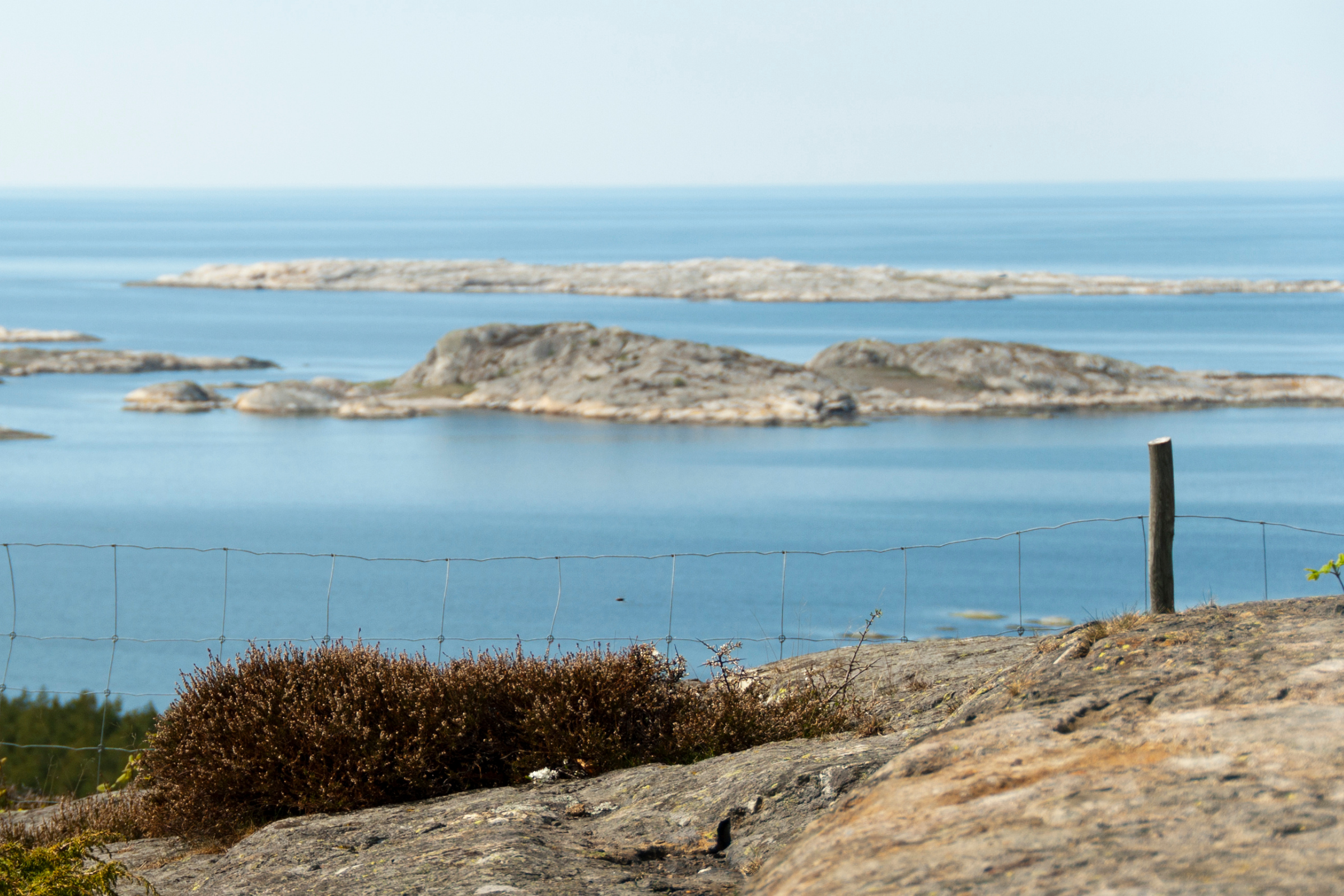 koster islands.webp
